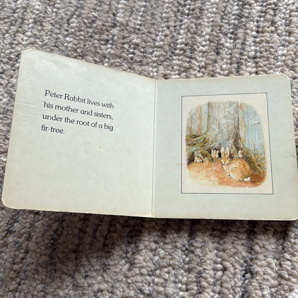 Book: Meet Peter Rabbit - Picture 5 of 5